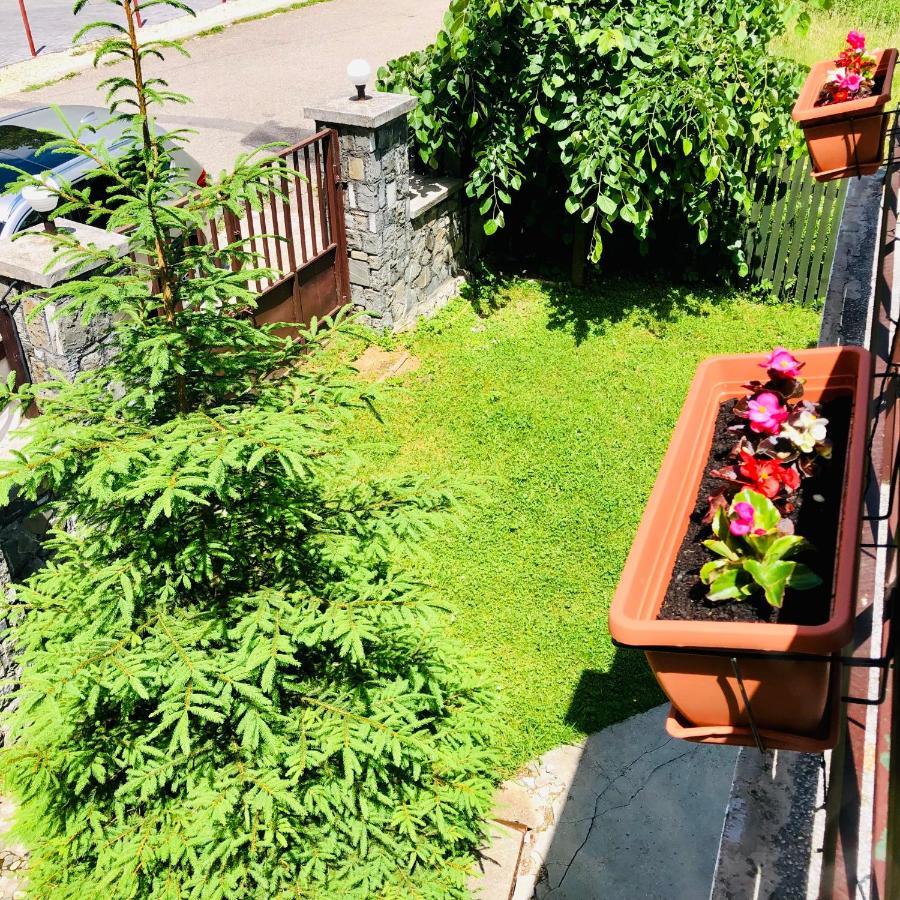 Pensiune & Restaurant Kalinder Buşteni Exterior foto